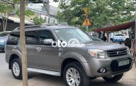 Ford Everest MT 2015 - Bán Ford Everest MT đời 2015, màu xám số sàn giá 535 triệu tại Tp.HCM