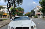 Bentley Continental   GT  2014 - Bán Bentley Continental GT năm sản xuất 2014, màu trắng, xe nhập giá 8 tỷ tại Hà Nội