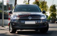 Volkswagen Tiguan 2016 - Bán Volkswagen Tiguan đời 2016, xe nhập, giá tốt giá 800 triệu tại Hà Nội