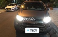 Ford EcoSport   Titanium   2015 - Cần bán Ford EcoSport Titanium đời 2015, màu xám còn mới giá 420 triệu tại Tp.HCM