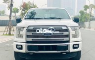 Ford F 150 Platinum  2016 - Cần bán gấp Ford F 150 Platinum đời 2016, màu trắng, nhập khẩu nguyên chiếc giá 2 tỷ 830 tr tại Hà Nội
