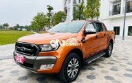 Ford Ranger  Wildtrack  2017 - Cần bán lại xe Ford Ranger Wildtrack năm sản xuất 2017, màu nâu còn mới giá 720 triệu tại Hà Nội