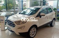 Ford EcoSport AT 2021 - Bán xe Ford EcoSport AT sản xuất 2021, màu trắng giá cạnh tranh giá 570 triệu tại Tp.HCM