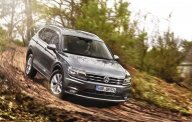 Volkswagen Tiguan 2.0AT 2022 - Bán Volkswagen Tiguan 2.0AT sản xuất 2022, nhập khẩu nguyên chiếc giá 1 tỷ 799 tr tại Quảng Ninh
