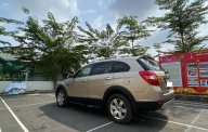 Chevrolet Captiva AT 2008 - Cần bán gấp Chevrolet Captiva AT năm 2008 số tự động, giá chỉ 258 triệu giá 258 triệu tại Tp.HCM