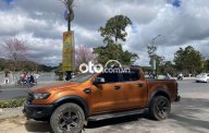 Ford Ranger Wildtrack   2017 - Bán Ford Ranger Wildtrack năm 2017, màu nâu, nhập khẩu nguyên chiếc còn mới giá 625 triệu tại Tp.HCM