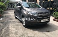 Ford EcoSport Titanium 2016 - Cần bán lại xe Ford EcoSport Titanium năm 2016, màu xám như mới giá 418 triệu tại Tp.HCM