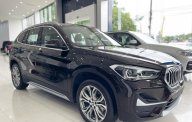 BMW X1 2022 - BMW X1 xDrive28i 2022, giảm ngay 10 triệu tiền mặt giá 1 tỷ 859 tr tại Hải Phòng