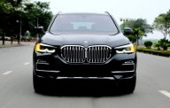 BMW X5 2019 - Bán xe BMW X5 xDrive40i năm sản xuất 2019, màu đen, nhập khẩu giá 3 tỷ 688 tr tại Hà Nội