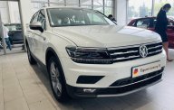 Volkswagen Tiguan 2022 - Volkswagen Tiguan Luxury S 2022 giảm giá tiền mặt sock cùng quà tặng hấp dẫn, nhận cọc ngay hôm nay giá 1 tỷ 929 tr tại Bình Dương