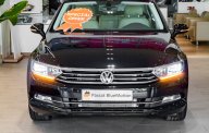 Volkswagen Passat 2020 - Cần bán Volkswagen Passat đời 2020, màu đen, nhập khẩu chính hãng giá 1 tỷ 480 tr tại Tp.HCM