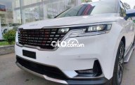 Bán xe Kia Carnival 2.2D Luxury năm sản xuất 2022, màu trắng, nhập khẩu giá 1 tỷ 179 tr tại Tp.HCM