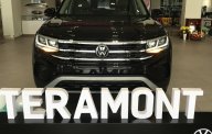 Volkswagen Volkswagen khác 2017 - Volkswagen Teramont 2022 Đủ Màu Giao Ngay giá 2 tỷ 349 tr tại Tp.HCM