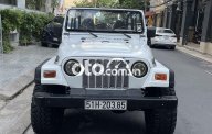 Jeep Wrangler 1990 - Màu trắng, giá cực tốt giá 800 triệu tại Tp.HCM