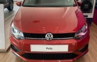 Volkswagen Polo 2021 - Xe nhập giá 695 triệu tại Hà Nội
