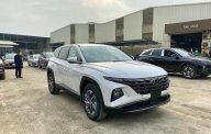 Hyundai Tucson 2022 - Sẵn xe giao ngay giá 925 triệu tại Ninh Bình
