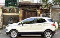Ford EcoSport 2017 - Màu trắng, nội thất đen 1 chủ từ mới - Odo 5v4 km giá 477 triệu tại Hưng Yên
