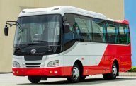 Samco Allergo 2022 - Si.29 new giá 1 tỷ 400 tr tại Tp.HCM