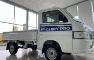 Suzuki Super Carry Pro 2022 - Nhập khẩu nguyên chiếc từ Indo với tải trọng 810kg thùng dài 2565mm(sẵn xe giao ngay) giá 304 triệu tại Cần Thơ