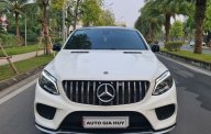 Mercedes-Benz GLE 43 2019 - Cần bán lại xe giá 3 tỷ 690 tr tại Hà Nội