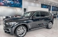 BMW X5 2022 - Giá 4 tỷ 019 triệu - Sẵn giao ngay giá 4 tỷ 19 tr tại Hải Phòng