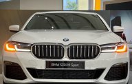BMW 530i 2022 - Nhập nguyên chiếc từ Đức giá 3 tỷ 339 tr tại Khánh Hòa