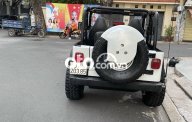 Jeep Wrangler   sản xuất 1990 Hàng Hiếm 1990 - Jeep Wrangler sản xuất 1990 Hàng Hiếm giá 800 triệu tại Tp.HCM