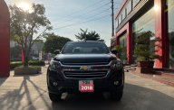 Chevrolet Colorado 2018 - Số sàn 1 cầu, biển Hà Nội mới cứng giá 460 triệu tại Vĩnh Phúc