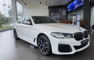BMW 530i 2022 - Sẵn xe giao ngay - Giá cực tốt liên hệ ngay, nhận ngay ưu đãi giá 3 tỷ 289 tr tại Bình Thuận  