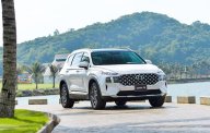 Hyundai Santa Fe 2023 - Hyundai Santa Fe 2023 số tự động tại Bình Thuận   giá 30 triệu tại Bình Thuận  