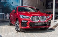 BMW X6 2022 - HÓT, CƠ HỘI SỞ HỮU MẢNH THÚ giá 5 tỷ 49 tr tại Bình Dương