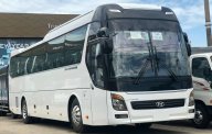 Hyundai Universe 2019 - Xả lỗ giá rẻ giá 2 tỷ 450 tr tại Tp.HCM