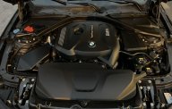 BMW 320i 2017 - Model 2017, màu đen, full lịch sử hãng, nội thất đen, odo 40 ngàn km giá 899 triệu tại Tp.HCM