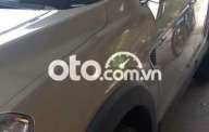 Chevrolet Captiva  2009 std 2009 - Captiva 2009 std giá 235 triệu tại BR-Vũng Tàu