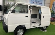 Suzuki Blind Van Số sàn 2022 - Suzuki BLind Van 580kg ( xe tải giờ cấm) giá 294 triệu tại Tp.HCM