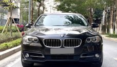 BMW 520i 2014 - Màu cát cháy, lên nhiều options, đẳng cấp sang trọng và thể thao giá 830 triệu tại Hà Nội
