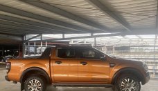 Ford Ranger 2016 - Xe màu nâu giá 699 triệu tại Tp.HCM