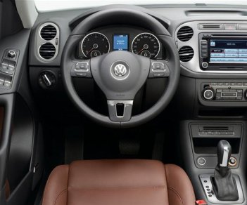 Volkswagen Tiguan   2015 - Bán Volkswagen Tiguan đời 2015, màu đỏ, nhập khẩu