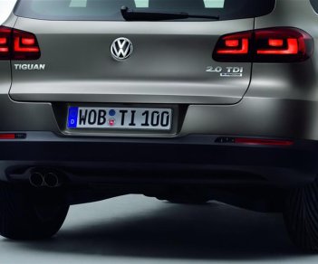 Volkswagen Tiguan   2014 - Cần bán Volkswagen Tiguan đời 2014, màu nâu, nhập khẩu chính hãng
