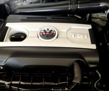 Volkswagen Tiguan   2.0 TSI 2016 - Cần bán Volkswagen Tiguan 2.0 TSI đời 2016, màu đỏ, xe nhập