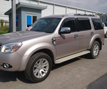 Ford Everest MT 2013 - Bán xe Ford AT đời 2010, màu hồng phấn