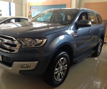 Ford Everest 2.2L 4x2 AT Trend 2017 - Bán Ford Everest 2.2L 4x2 AT Trend, mới 100%, nhập khẩu chính hãng. Hỗ trợ vay vốn 100%, thủ tục đơn giản, nhanh chóng