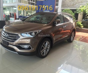 Hyundai Santa Fe 2.4 G 2017 - Bán Hyundai Santa Fe 2.4 xăng, có xe giao ngay, hỗ trợ trả góp: 0961917516