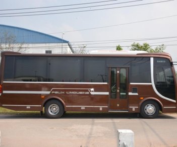 Samco Felix Limousine 2017 - Bán xe khách cao cấp Samco Felix Limousine 17 chỗ ngồi - động cơ 5.2