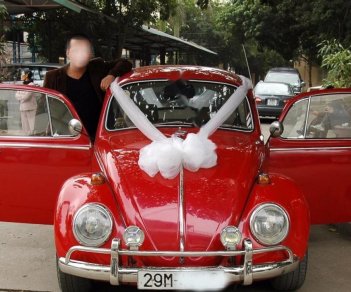 Volkswagen Beetle 1990 - Bán Volkswagen Beetle đời 1990, màu đỏ, nhập khẩu