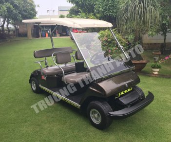 Hãng khác Xe du lịch 2011 - Bán xe điện sân Golf Yamaha 4 chỗ