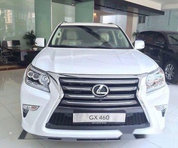 Lexus GX460  4.6L AT 2017 - Bán xe Lexus GX460 4.6L AT đời 2017, màu trắng