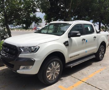 Ford Ranger Wildtrak 2.2 4X4 2017 - Bán Ford Ranger Wildtrak 2.2 4x4, màu trắng, nhập khẩu