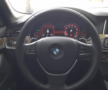 BMW 528i 2014 - Bán gấp BMW 528i đời 2014, màu trắng, nhập khẩu nguyên chiếc