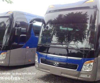 Hyundai Universe Noble  2017 - Cần bán Hyundai Universe nobel năm 2011 xe cũ, nhập Hàn